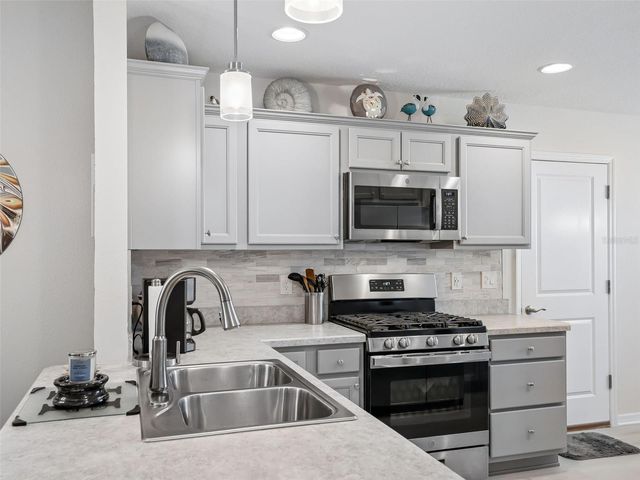 4515 LESCHAK LANE, The Villages, FL 32163