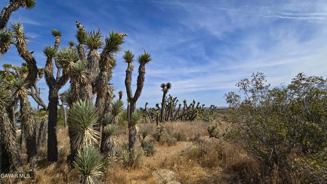 103rd St East Vicinity W14, Juniper Hills, CA 93543