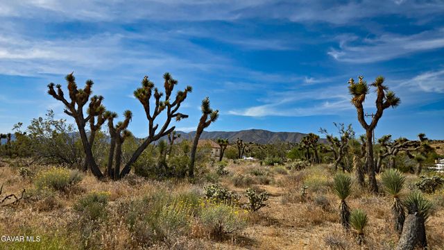 103rd St East Vicinity W14, Juniper Hills, CA 93543