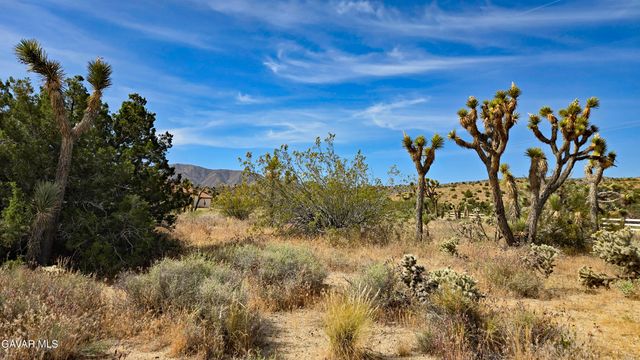 103rd St East Vicinity W14, Juniper Hills, CA 93543