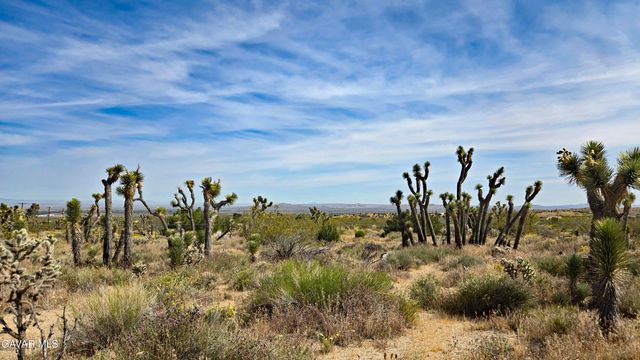 103rd St East Vicinity W14, Juniper Hills, CA 93543