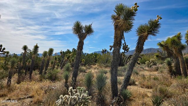 103rd St East Vicinity W14, Juniper Hills, CA 93543