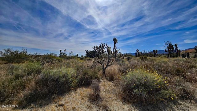 103rd St East Vicinity W14, Juniper Hills, CA 93543
