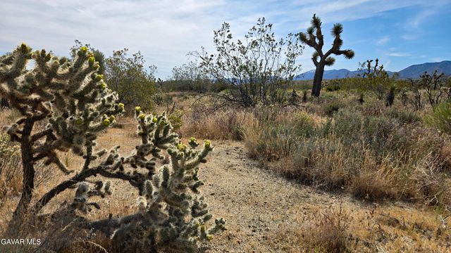 103rd St East Vicinity W14, Juniper Hills, CA 93543