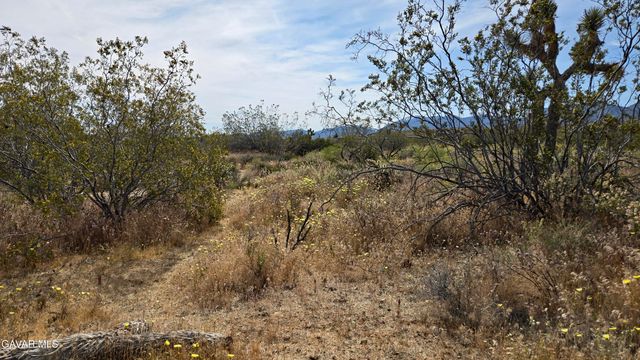 103rd St East Vicinity W14, Juniper Hills, CA 93543