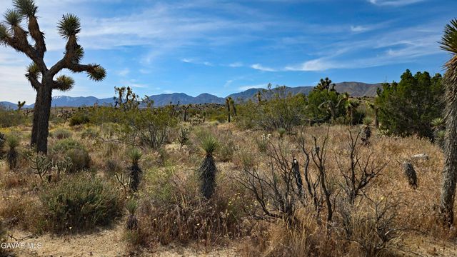 103rd St East Vicinity W14, Juniper Hills, CA 93543