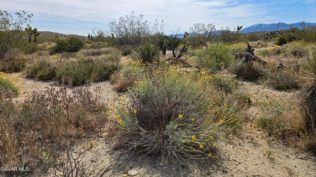 103rd St East Vicinity W14, Juniper Hills, CA 93543
