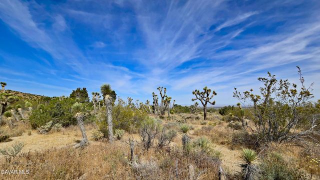 103rd St East Vicinity W14, Juniper Hills, CA 93543
