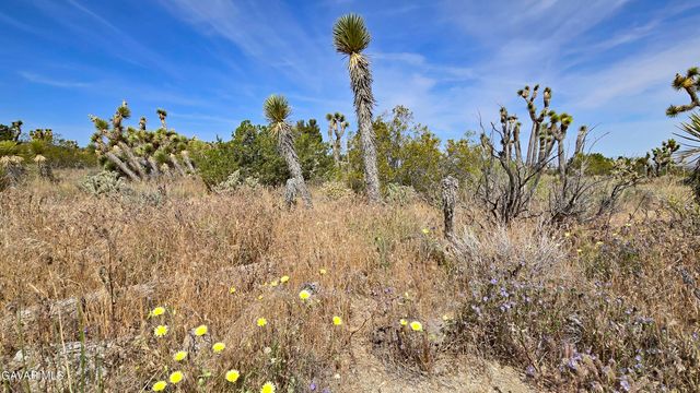 103rd St East Vicinity W14, Juniper Hills, CA 93543