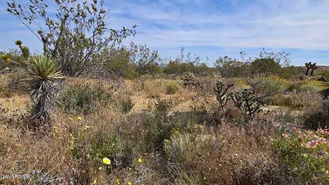 103rd St East Vicinity W14, Juniper Hills, CA 93543