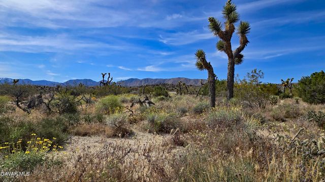 103rd St East Vicinity W14, Juniper Hills, CA 93543