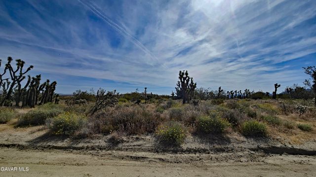 103rd St East Vicinity W14, Juniper Hills, CA 93543