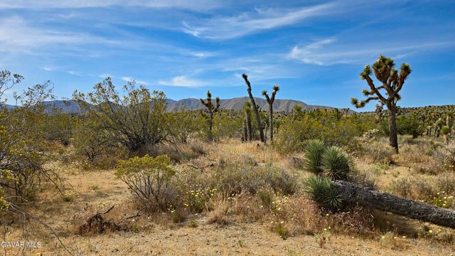 103rd St East Vicinity W14, Juniper Hills, CA 93543