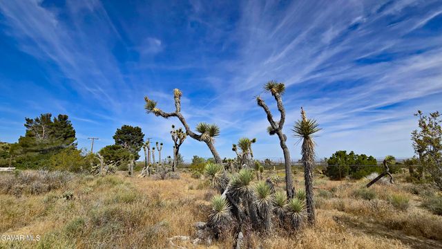 103rd St East Vicinity W14, Juniper Hills, CA 93543