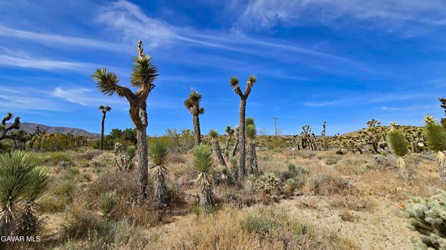 103rd St East Vicinity W14, Juniper Hills, CA 93543