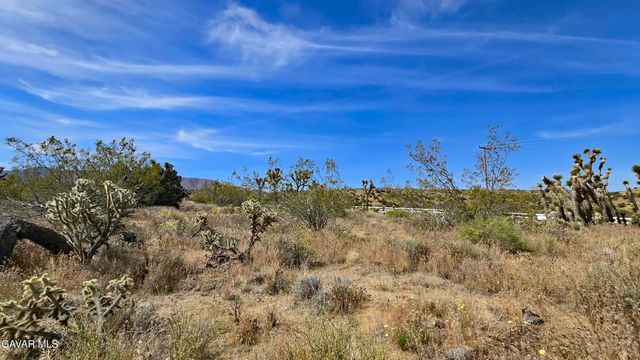 103rd St East Vicinity W14, Juniper Hills, CA 93543