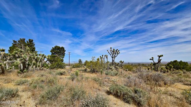 103rd St East Vicinity W14, Juniper Hills, CA 93543