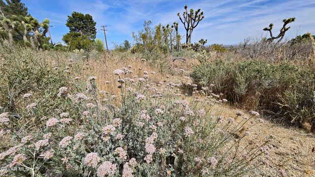103rd St East Vicinity W14, Juniper Hills, CA 93543