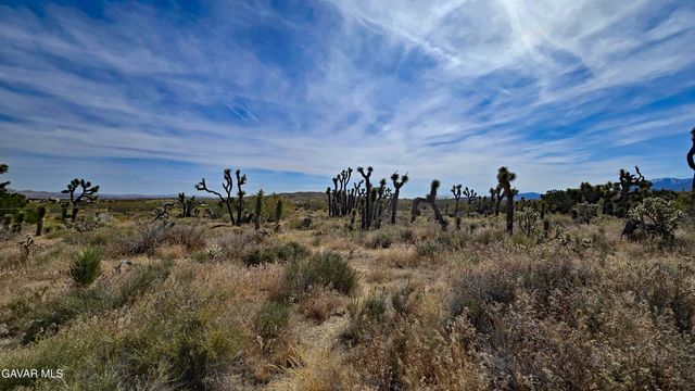 103rd St East Vicinity W14, Juniper Hills, CA 93543