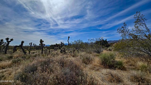103rd St East Vicinity W14, Juniper Hills, CA 93543