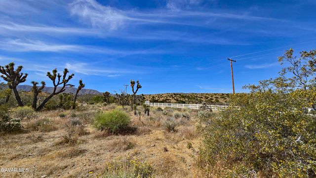 103rd St East Vicinity W14, Juniper Hills, CA 93543