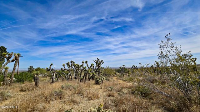 103rd St East Vicinity W14, Juniper Hills, CA 93543