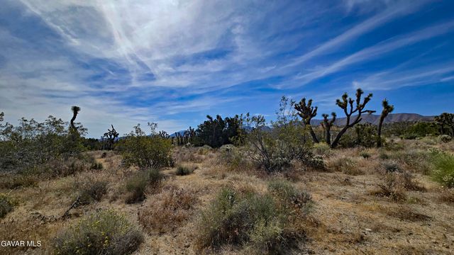 103rd St East Vicinity W14, Juniper Hills, CA 93543