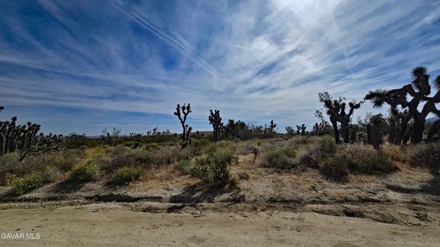 103rd St East Vicinity W14, Juniper Hills, CA 93543
