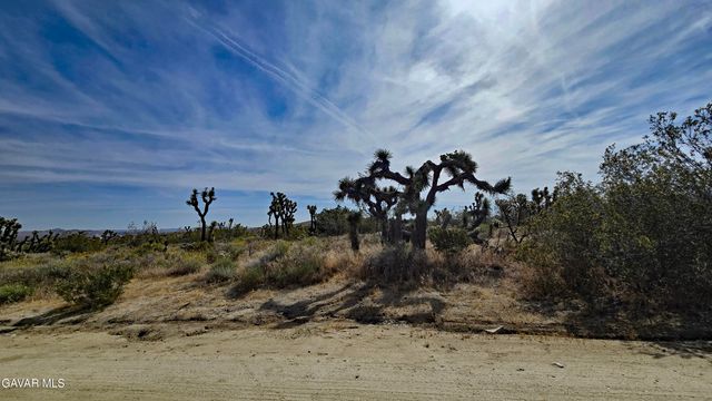 103rd St East Vicinity W14, Juniper Hills, CA 93543