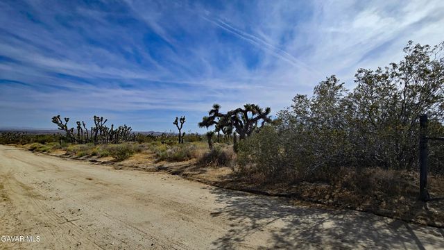 103rd St East Vicinity W14, Juniper Hills, CA 93543