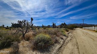 103rd St East Vicinity W14, Juniper Hills, CA 93543