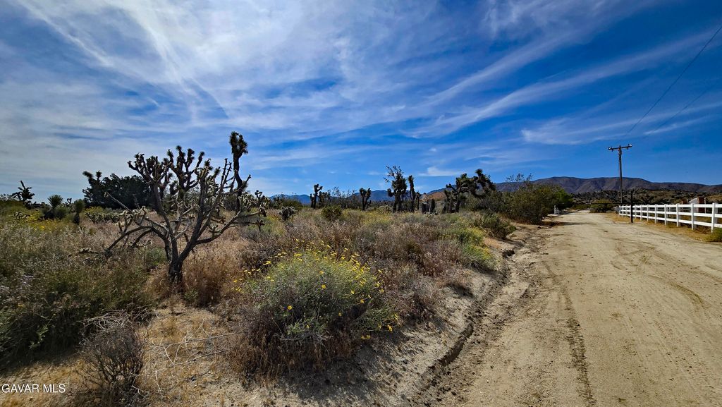 103rd St East Vicinity W14, Juniper Hills, CA 93543