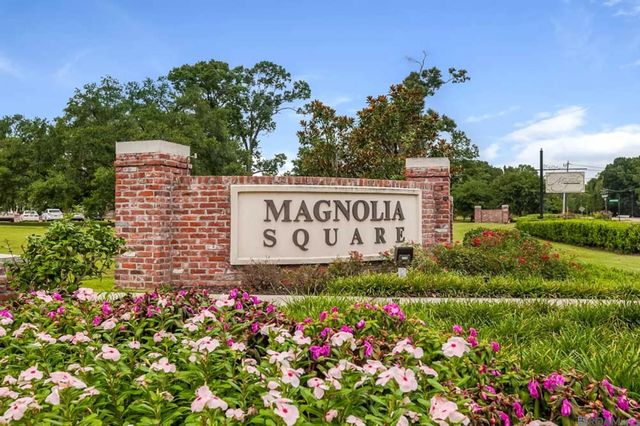 12918 Magnolia Square Dr, Central, LA 70818