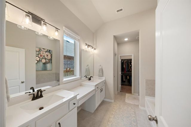 29534 Water Willow Trace Drive, Spring, TX 77386