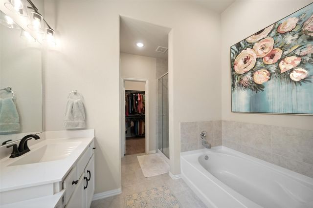 29534 Water Willow Trace Drive, Spring, TX 77386