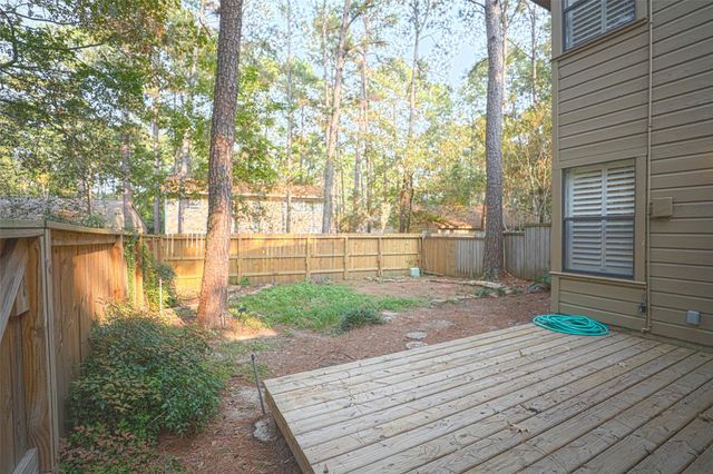 58 Cokeberry Court, The Woodlands, TX 77380