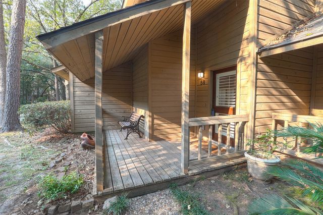 58 Cokeberry Court, The Woodlands, TX 77380