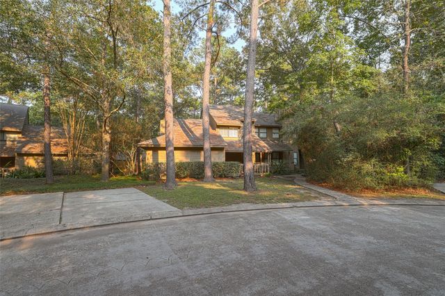 58 Cokeberry Court, The Woodlands, TX 77380