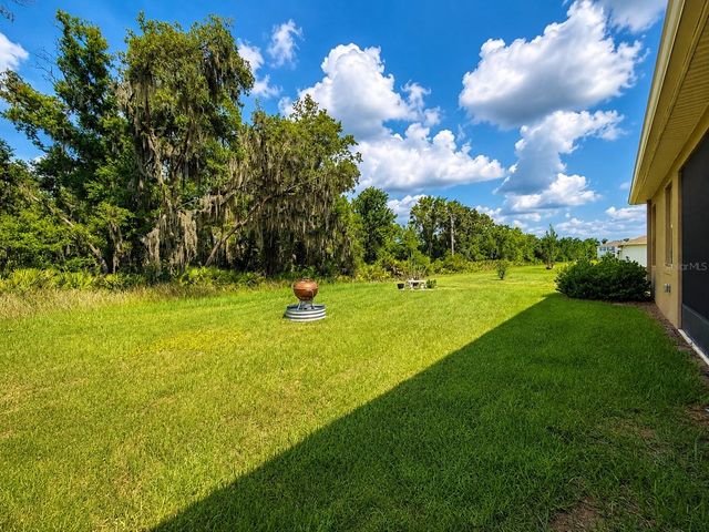 12544 SHINING WILLOW STREET, Riverview, FL 33579