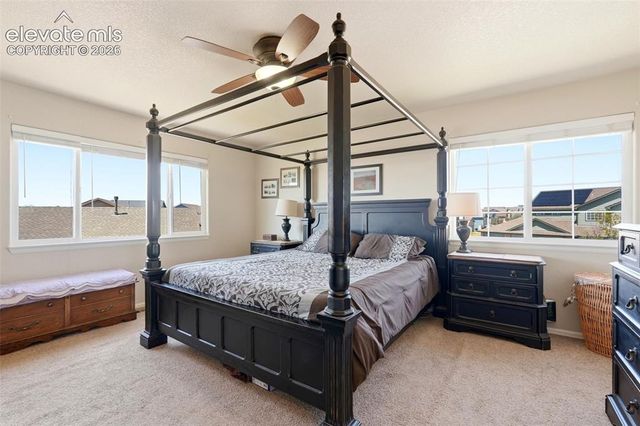 13105 River Falls Terrace, Peyton, CO 80831