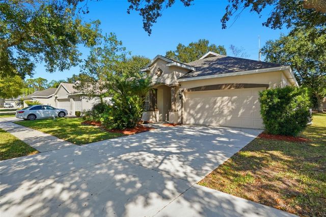 12906 CATTAIL SHORE LANE, Riverview, FL 33579