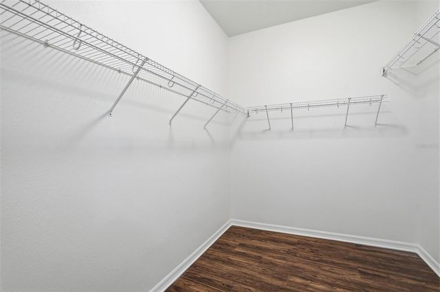 12906 CATTAIL SHORE LANE, Riverview, FL 33579