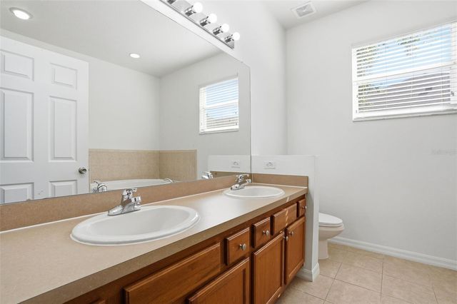 12906 CATTAIL SHORE LANE, Riverview, FL 33579