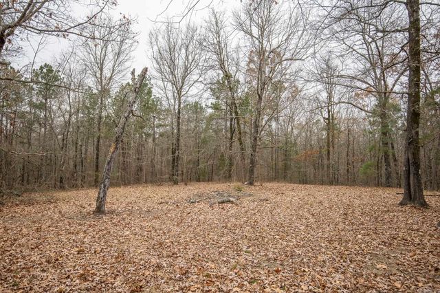 20862 Mcpherson Rd, Mabelvale, AR 72103