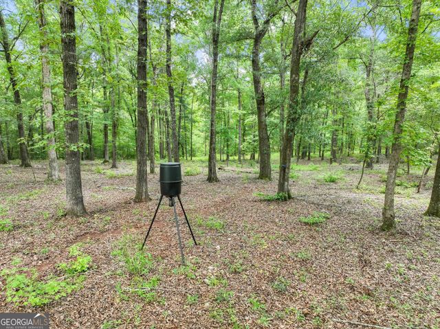 350 E Harp Road, Thomaston, GA 30286