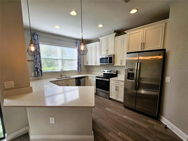 30219 SOUTHWELL LANE, Wesley Chapel, FL 33543