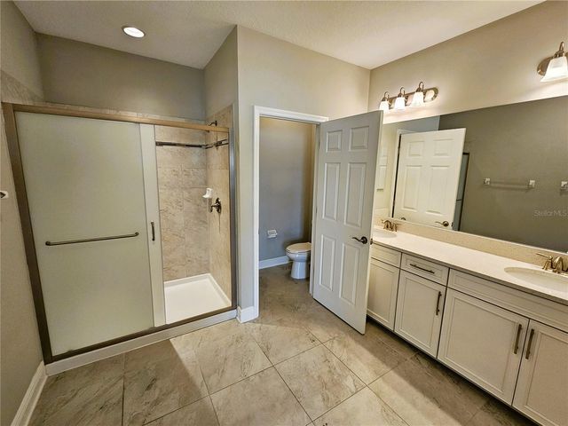 30219 SOUTHWELL LANE, Wesley Chapel, FL 33543