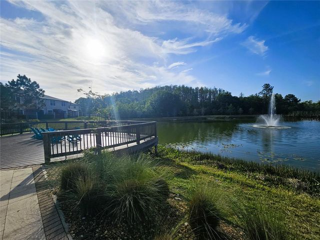 30219 SOUTHWELL LANE, Wesley Chapel, FL 33543