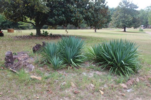 3296 hwy 278 E, Hope, AR 71801