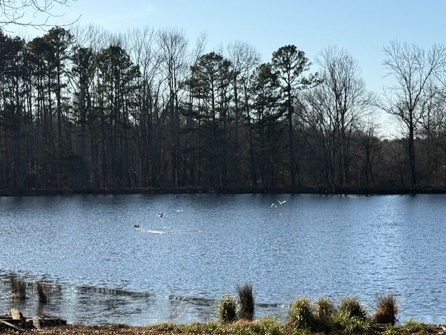 6283 Ar-21, Clarksville, AR 72830